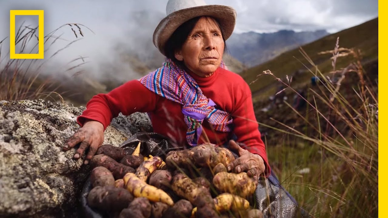 farm to table pantip  Update  From Farm to Table | Nat Geo Live