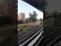 يا قطر الصعيد