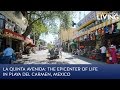 La Quinta Avenida: The Epicenter of Life in Playa del Carmen, Mexico