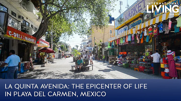 La Quinta Avenida: The Epicenter of Life in Playa del Carmen, Mexico
