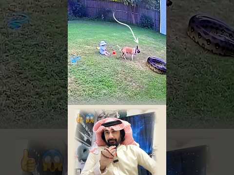 أوفا صديق لحظة بطولية هز ت القلوب