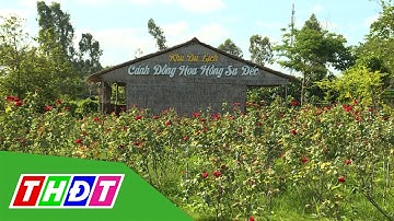 Khu du lịch Cánh đồng hoa hồng Sa Đéc | Tạp chí Du lịch xanh - 25/6/2021 | THDT