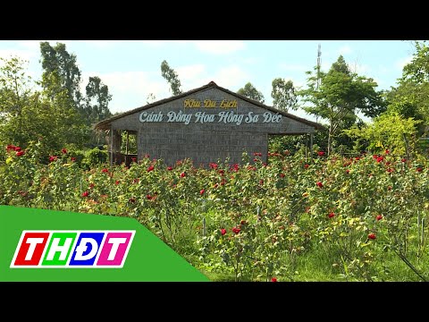 Video Khu du lịch Cánh đồng hoa hồng Sa Đéc | Tạp chí Du... - youtube