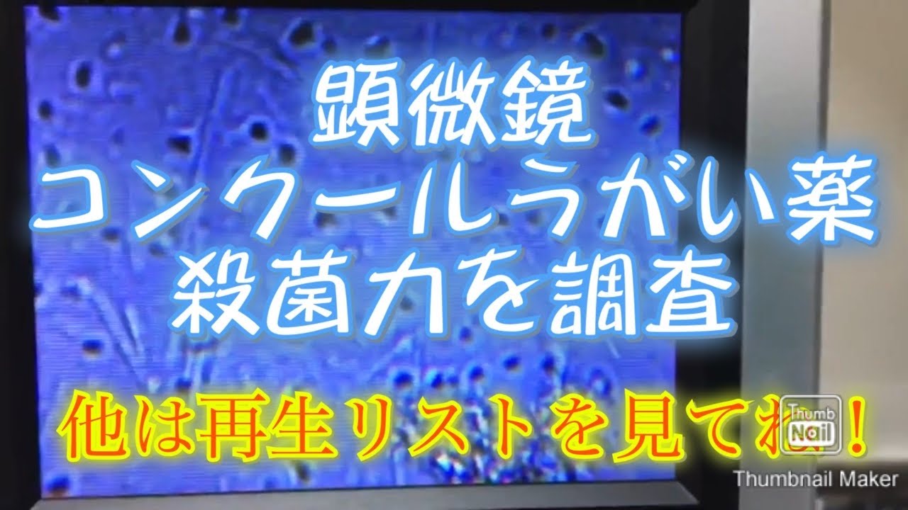 顕微鏡でプラークにうがい薬コンクール原液を流してばい菌　歯垢殺菌されるか観察  歯周病菌 虫歯菌 大宮駅西口 鈴木歯科医院  歯茎 膿 動画