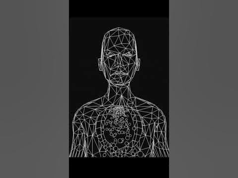 html and css human body #shorts #humanity css animation - YouTube