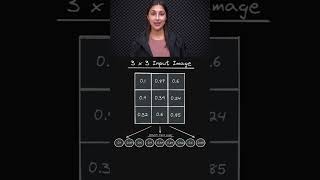 Pixel-to-Node Mapping in NN 🌐 - Flattening Image Input Breakdown 🧩 - Topic 220 #ai #ml