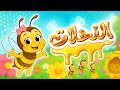 أغنية النحلات تعليمية ممتعة عن النحل والعسل