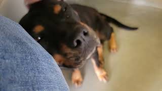 acs A673763 2