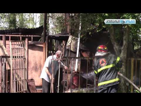 ნიკეას ქუჩაზე ხანძარი ლოკალიზებულია