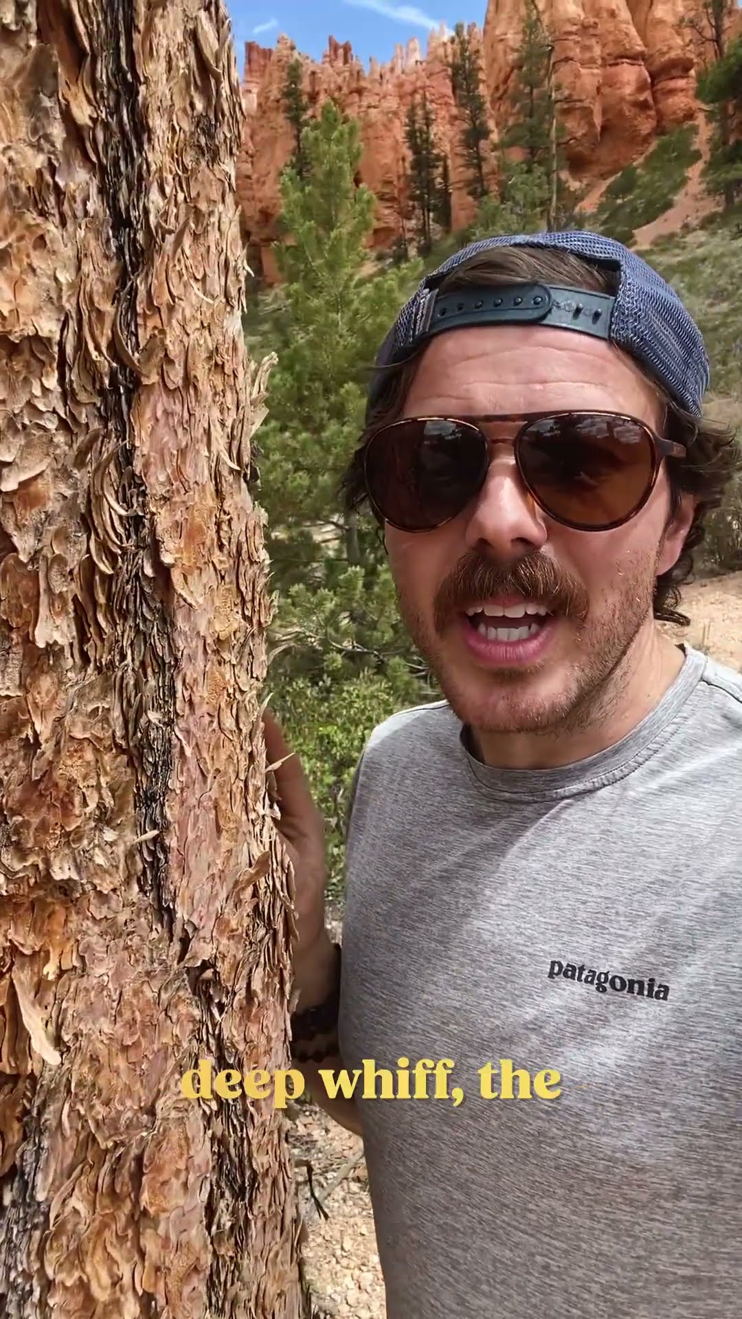 Making Montana out of Ponderosa Pine | Official State Tree Map #shorts #trees #wood
