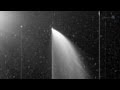 Comet Pan-STARRS Quiz