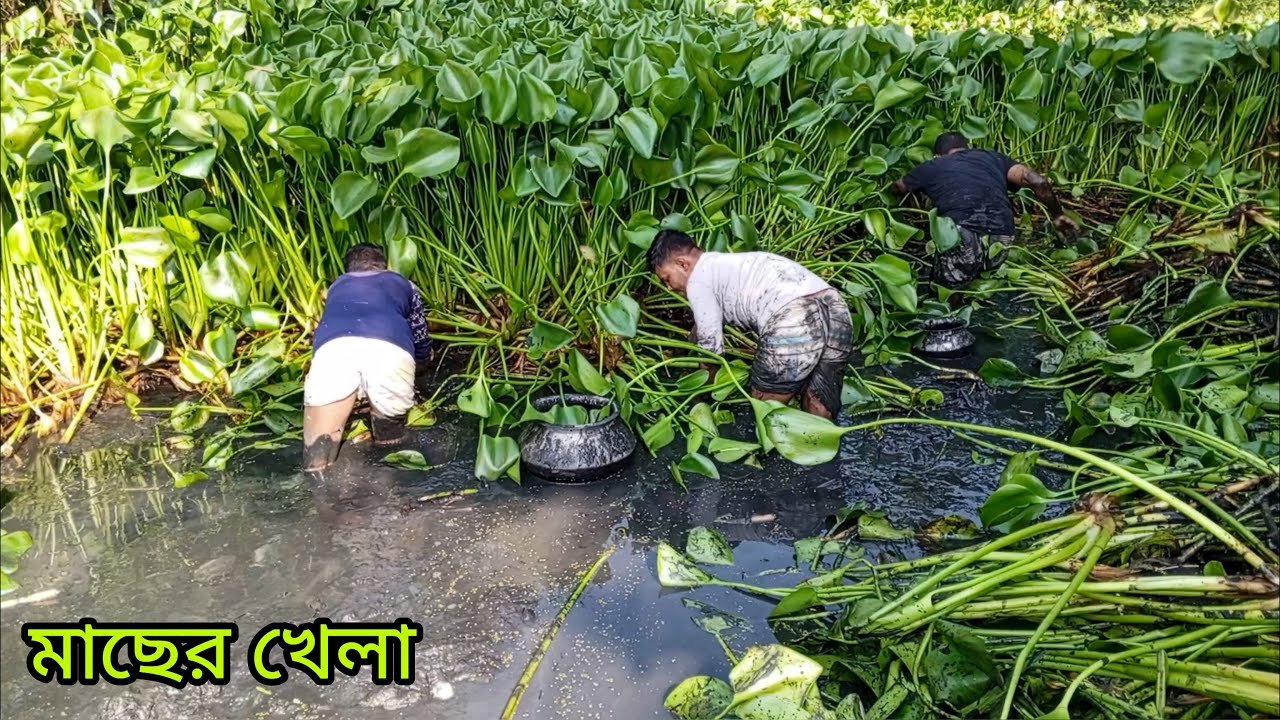 most amazing & unbelievable big pond fishing video 2023 II everyone should watch new fishing video