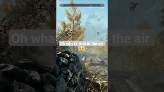 #skyrim #elderscrolls #gaming #gameplay #letsplay #shorts #fail #glitch #funny #rpg #fantasy #games