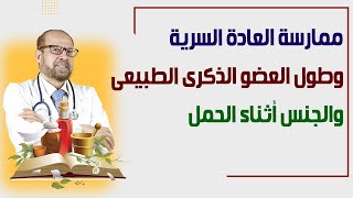 ممارسة العادة السرية  وماهو طول العضو الذكرى الطبيعىوالجنس أثناء الحمل