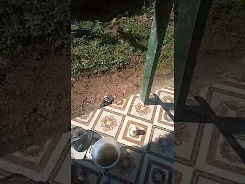 mancing-ikan-air-tawar