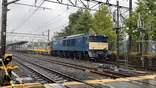 EF64-1032号機牽引‼キヤE195系ST-12編成短キヤ故障車配給大雨の塩山駅通過‼