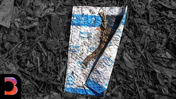 The Harsh Realities of Where Your Amazon Packaging Ends Up