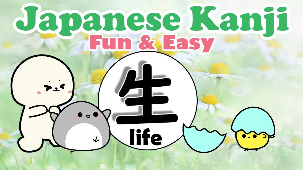 Learn Japanese kanji sei 生 with vocabulary for beginners |Japanese Learning Anime