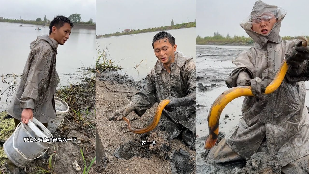 我就知道這絕對是斤貨，在一個塘裏抓了四桶鱔魚是一種什麼體驗？真是讓人興奮極了#viralvideo #熱門