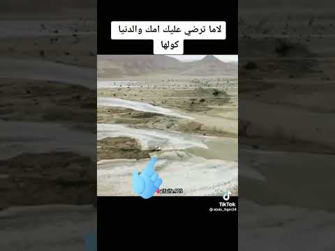 Short Video Suudii Arabic 2022 