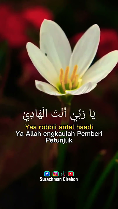 Sholawat Nabi Ya Robi Antal Hadi #sholawat #doa #dzikir