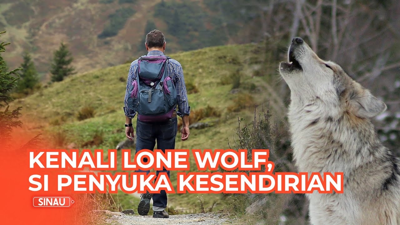 Berkenalan dengan Kepribadian Lone Wolf, Apa Itu? YouTube