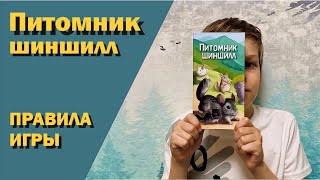 Правила настольной игры Питомник шиншилл