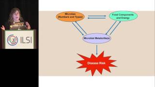 Ilsi Na Nih Perspective On Personalized Nutrition Cindy Davis
