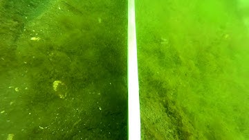 Rocna anchor settling in mud