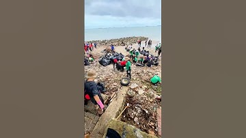Over 500 volunteers cleaned up the beach #saigonxanh #cleanup #cleaningmotivation #satisfying