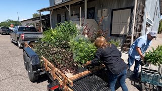 Shopping for Plants for the New Pond Area! 🙌😁🌿 // Garden Answer