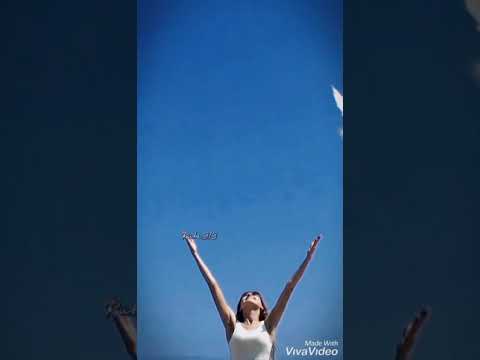 ملحم بركات حمامة بيضا   
