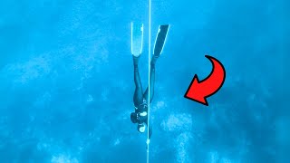 This Video Will Change Your Life! (5 Reasons To Freedive)