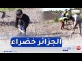 مجتمع غرس مليون شجرة الجميع يتجند لإنجاح مبادرة الجزائر خضراء 