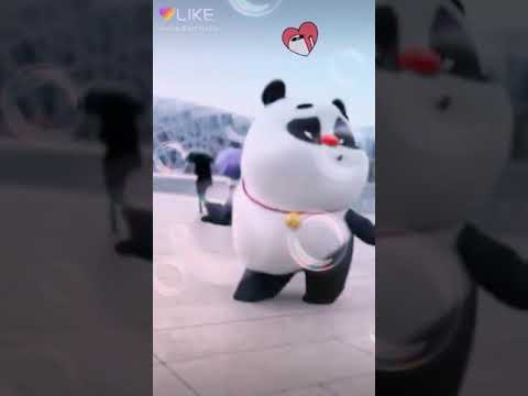  Panda nya lucu YouTube