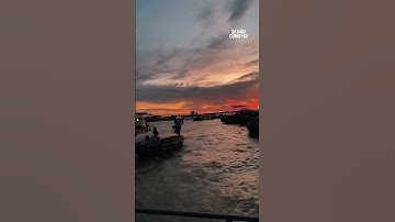 Chợ nổi Cái Răng Cần Thơ - Trải nghiệm độc đáo miền Tây sông nước #chonoicairang #chonoi #cantho #m