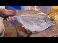 Fastest fish cutting skills  big black pomfret fish cutting by expert cutter