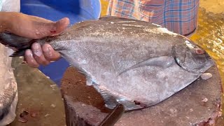 Fastest Fish Cutting Skills | Big Black Pomfret Fish Cutting By Expert Cutter