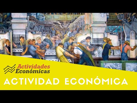 ¿Qué son las