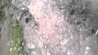 WP 20130607 134520Z
