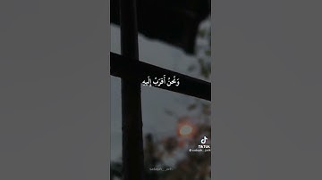 ياسر الدوسري  🌹💛||قرآن كريم  ||راحه نفسيه 😴😴❤