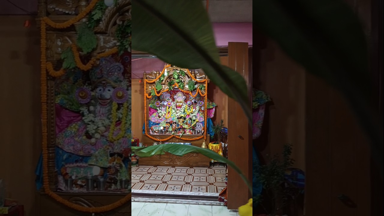 Ratha Yatra 2026 at ISKCON Dharmanagar