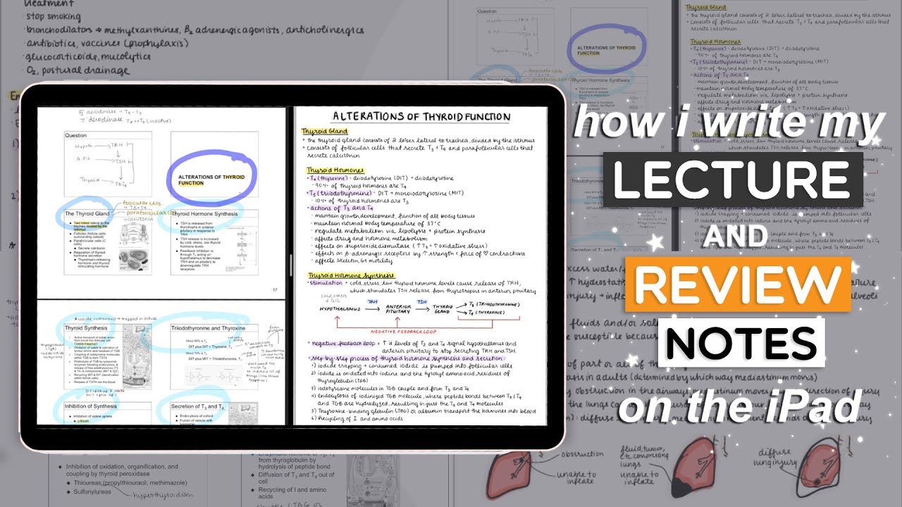 How I Do My Lecture Review Notes On The Ipad Goodnotes Youtube