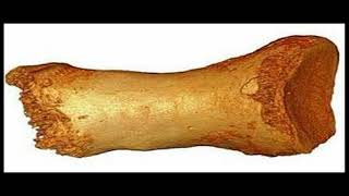 Real Monasterio de Montesclaros