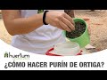 Cmo hacer purn de ortiga huerto urbano  huertum