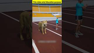 Human vs Lion 🦁#facts #interestingfacts #unbelievable #randomfacts #crazyfacts #wowfacts