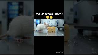 Mouse steals Cheese🧀 #FunnyCats #CatAndMouse #CartoonAnimation #KidsEntertainment #FunnyAnimals