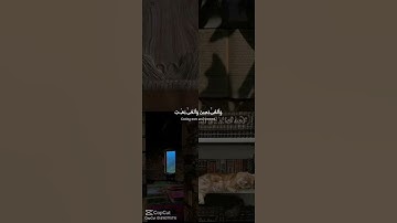 ما أجمل الاستماع إلى القرآن الكريم♥💕♥💕