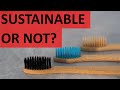 HOW SUSTAINABLE IS A  BAMBOO TOOTHBRUSH? (Positive And Negative Impacts On The Environment)