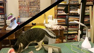 Sewing Room Redo Part 1 @victorialucilleanne5483